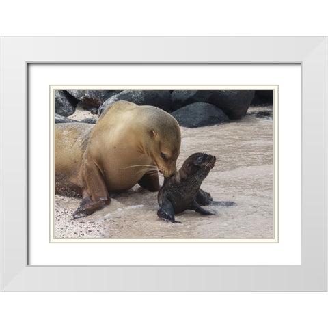 Mother Worries White Modern Wood Framed Art Print with Double Matting by Gross, Benny