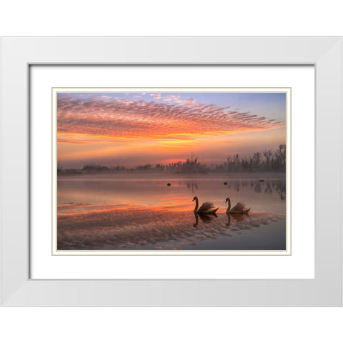 Rosy Romance White Modern Wood Framed Art Print with Double Matting by An, Anna