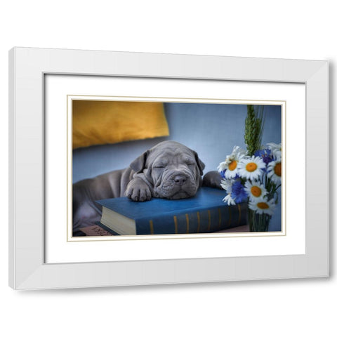 Sweet Dreams... White Modern Wood Framed Art Print with Double Matting by Kazun, Andrii