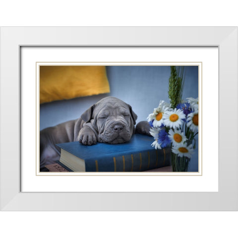 Sweet Dreams... White Modern Wood Framed Art Print with Double Matting by Kazun, Andrii