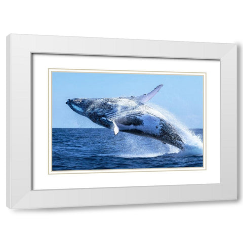 The Escort White Modern Wood Framed Art Print with Double Matting by Melesan, Serge