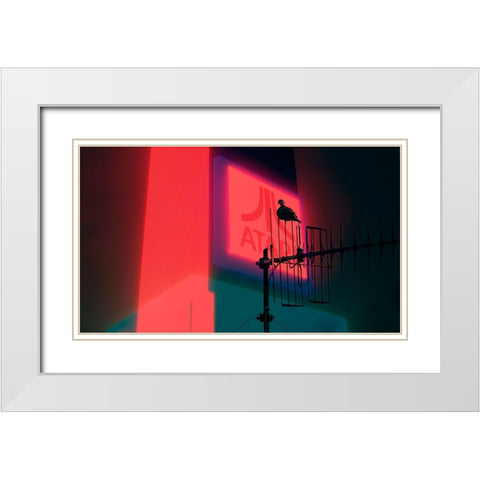 Big brother is watching you White Modern Wood Framed Art Print with Double Matting by Boaretto, Davide