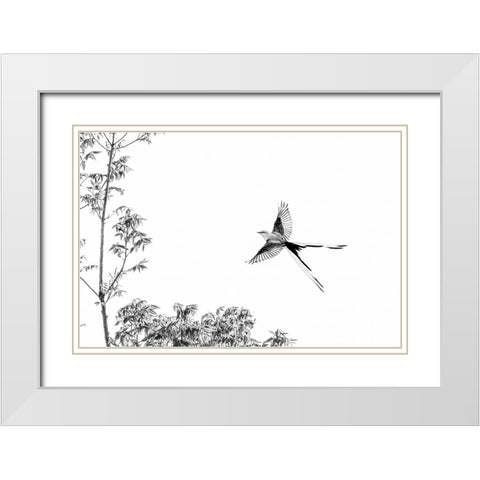 Flying White Modern Wood Framed Art Print with Double Matting by He, Mike