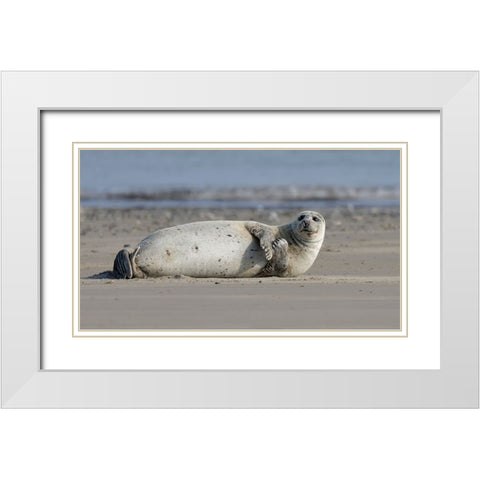 Lazy Sunday Afternoon White Modern Wood Framed Art Print with Double Matting by Engelbos, Mieke