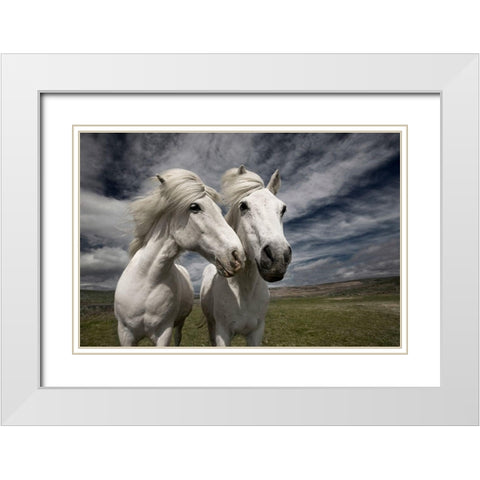 Inseparables White Modern Wood Framed Art Print with Double Matting by Ingibergsson, Bragi