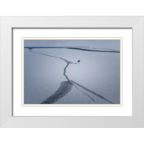After The Snow... White Modern Wood Framed Art Print with Double Matting by Chen, Jennifer