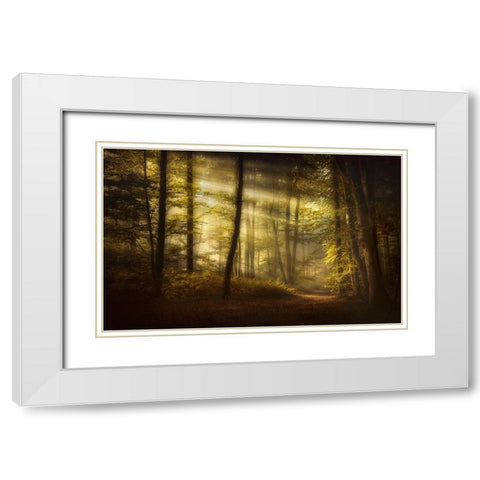 Autumnal Morning White Modern Wood Framed Art Print with Double Matting by Maier, Norbert