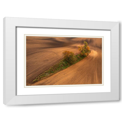 South Moravia White Modern Wood Framed Art Print with Double Matting by Kravanja, Jure