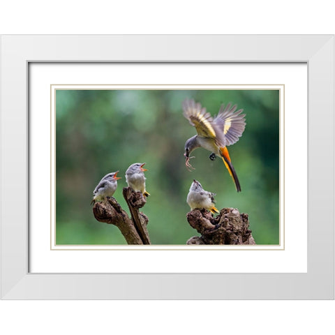 I Am Coming 2 White Modern Wood Framed Art Print with Double Matting by Muliani Hartojo, Angela