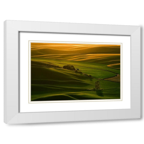 Palouse Wheat Fields White Modern Wood Framed Art Print with Double Matting by Dickau, Kristel