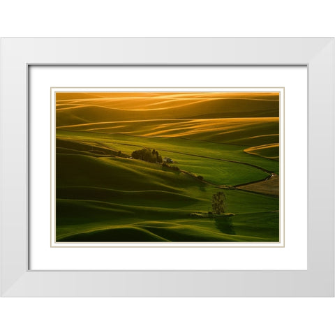Palouse Wheat Fields White Modern Wood Framed Art Print with Double Matting by Dickau, Kristel