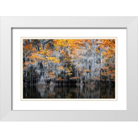Gold Rush White Modern Wood Framed Art Print with Double Matting by Ji, Shirley
