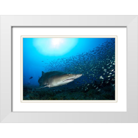 Big Head White Modern Wood Framed Art Print with Double Matting by Y Lin, Ryan