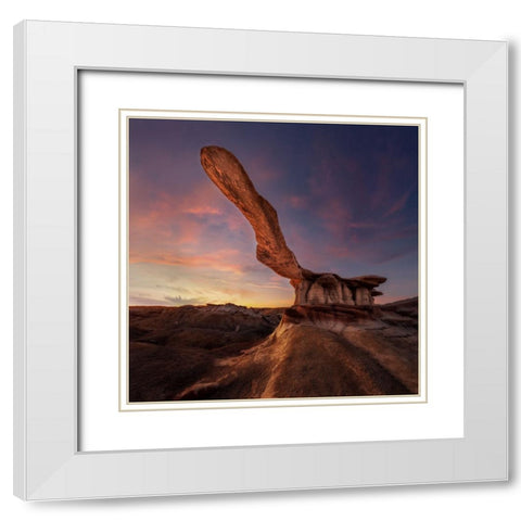 King Of Wings White Modern Wood Framed Art Print with Double Matting by Ji, Shirley