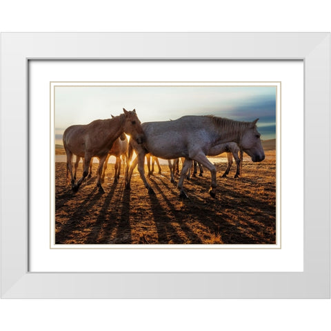 AeÂ™UaeÂ›B White Modern Wood Framed Art Print with Double Matting by Taksing
