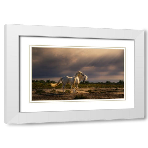 After The Storm...Light! A732210 White Modern Wood Framed Art Print with Double Matting by Joanaduenas
