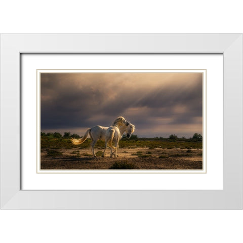 After The Storm...Light! A732210 White Modern Wood Framed Art Print with Double Matting by Joanaduenas