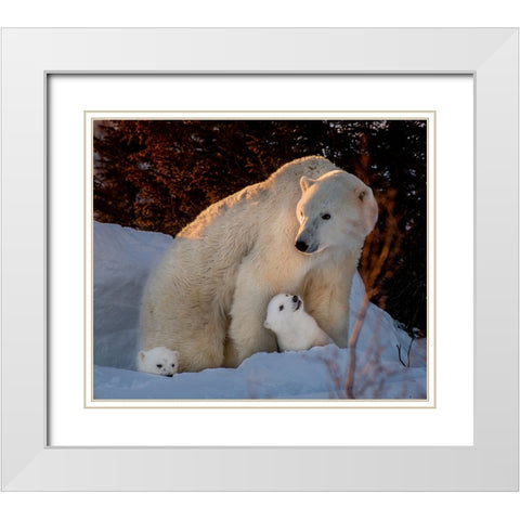 Untitled White Modern Wood Framed Art Print with Double Matting by Tao, Liwen