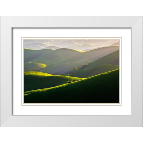 Afternoon Light On Hills White Modern Wood Framed Art Print with Double Matting by Mao, Dianne