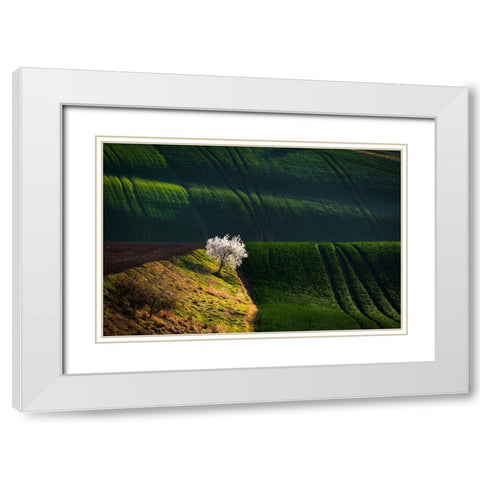 A Flowering Tree In The Waves White Modern Wood Framed Art Print with Double Matting by Uhrin, Milan