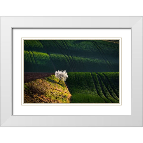 A Flowering Tree In The Waves White Modern Wood Framed Art Print with Double Matting by Uhrin, Milan
