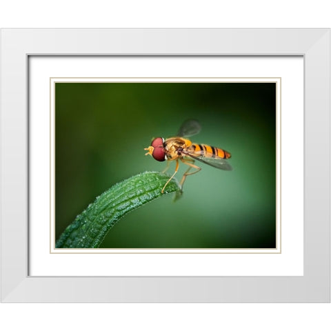 Quietly White Modern Wood Framed Art Print with Double Matting by Hirai, Takiko