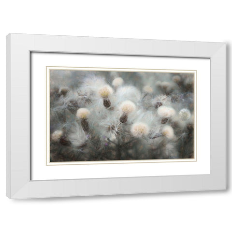 Free Fall White Modern Wood Framed Art Print with Double Matting by Claes, Gilbert