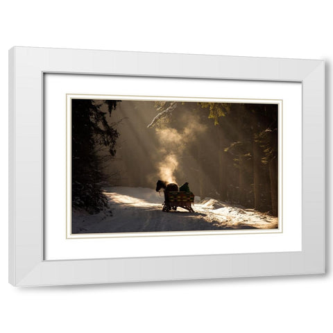 Into The Forest White Modern Wood Framed Art Print with Double Matting by Mirica, Dan