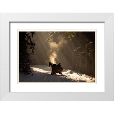 Into The Forest White Modern Wood Framed Art Print with Double Matting by Mirica, Dan