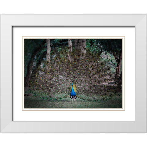 Look At Me White Modern Wood Framed Art Print with Double Matting by Lu, Linda