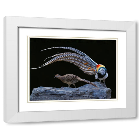 Untitled White Modern Wood Framed Art Print with Double Matting by Fengying Long