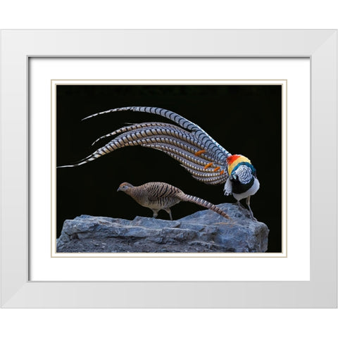 Untitled White Modern Wood Framed Art Print with Double Matting by Fengying Long