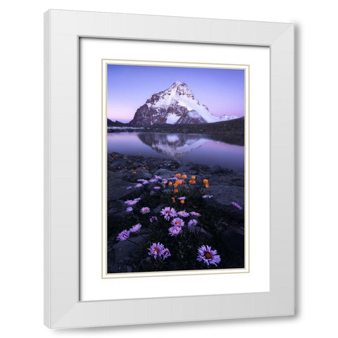 GodS Backyard White Modern Wood Framed Art Print with Double Matting by Hao, Damon