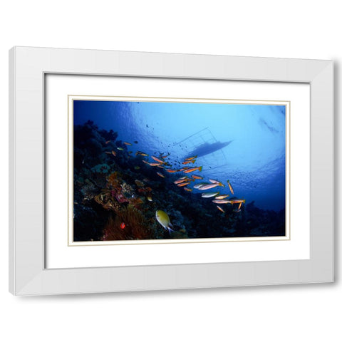 Under The Boat White Modern Wood Framed Art Print with Double Matting by Y Lin, Ryan