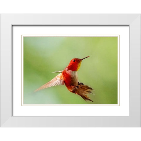 Red Light White Modern Wood Framed Art Print with Double Matting by Chen, Ming