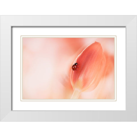 Simplicity White Modern Wood Framed Art Print with Double Matting by Van Deelen, Ellen