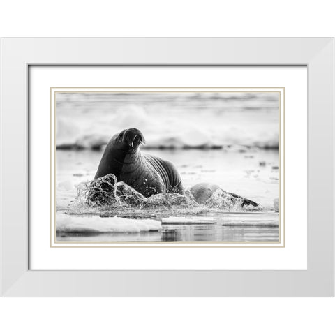 Last One Standing White Modern Wood Framed Art Print with Double Matting by Lewis-Bevan, Wyn