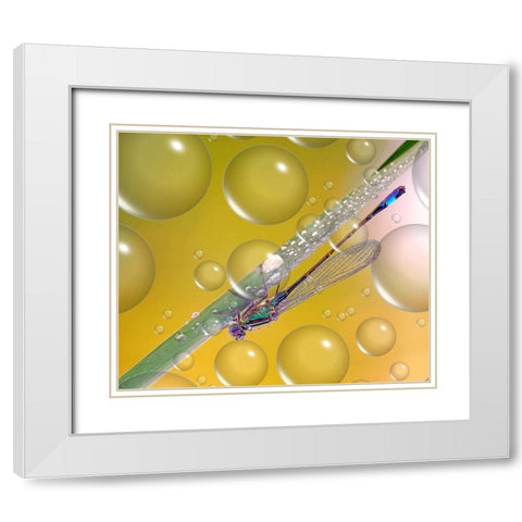 Anti-Heat Wave Dew... White Modern Wood Framed Art Print with Double Matting by Dufour, Thierry