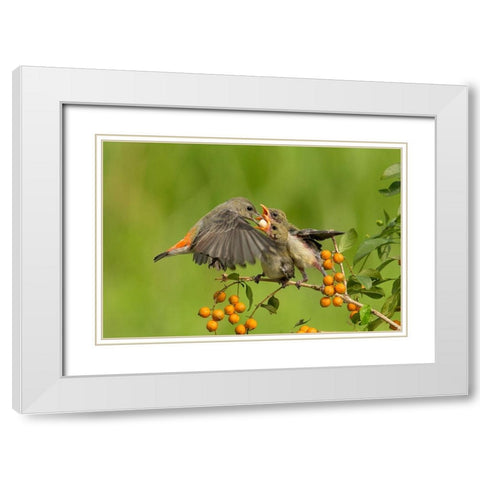 MotherS Love White Modern Wood Framed Art Print with Double Matting by Muliani Hartojo, Angela