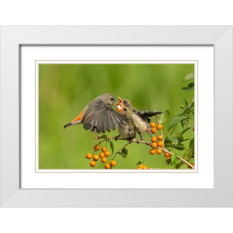 MotherS Love White Modern Wood Framed Art Print with Double Matting by Muliani Hartojo, Angela