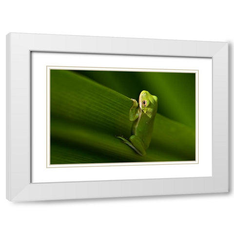 Take A Look Outside White Modern Wood Framed Art Print with Double Matting by He, Mike