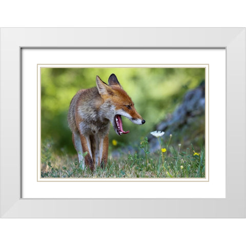 Without Peace! White Modern Wood Framed Art Print with Double Matting by Ranalli, Federico