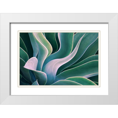 Shades Of Summer White Modern Wood Framed Art Print with Double Matting by Wechsler, Robin