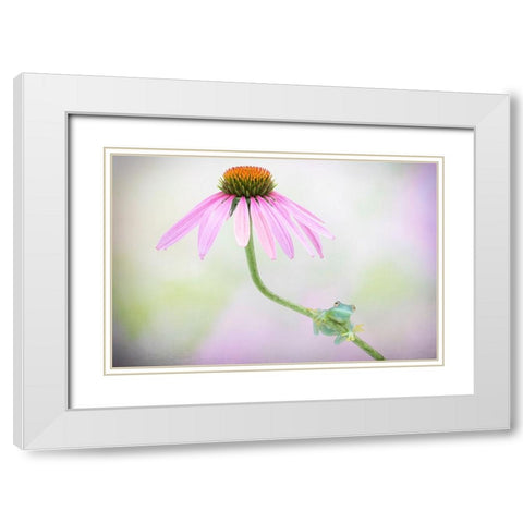 Protected White Modern Wood Framed Art Print with Double Matting by Doyle, Renee