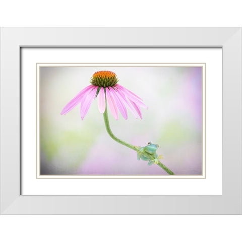 Protected White Modern Wood Framed Art Print with Double Matting by Doyle, Renee