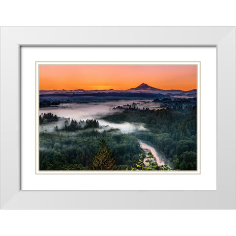 Morning Light White Modern Wood Framed Art Print with Double Matting by Jin, Jie