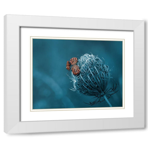 Macnage An Trois White Modern Wood Framed Art Print with Double Matting by Stefanel, Nicolae
