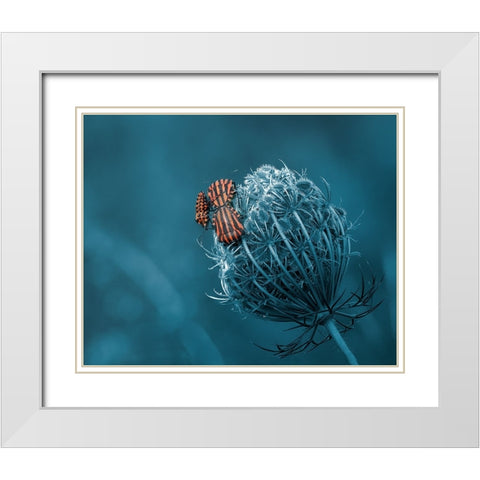 Macnage An Trois White Modern Wood Framed Art Print with Double Matting by Stefanel, Nicolae