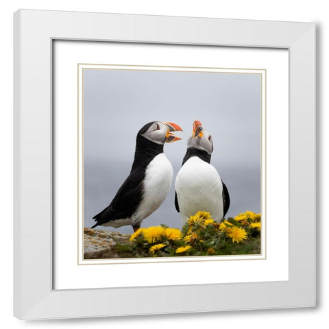 Singing Together White Modern Wood Framed Art Print with Double Matting by Fu, Molly
