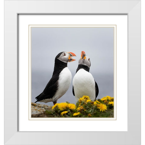 Singing Together White Modern Wood Framed Art Print with Double Matting by Fu, Molly